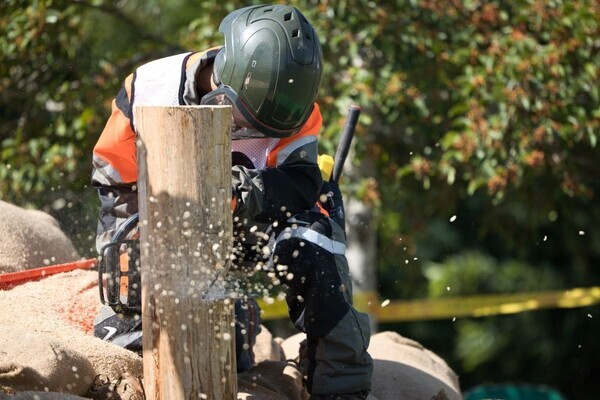 磨き上げた技で挑む、ながさき伐木チャンピオンシップ