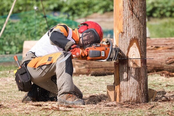 磨き上げた技で挑む、ながさき伐木チャンピオンシップ