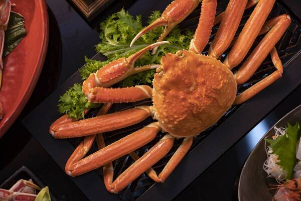 2025年初旅は新酒と共に、カニ＆とらふぐを食べ比べ！京都府京丹後市夕日ヶ浦温泉「夕日浪漫　一望館」