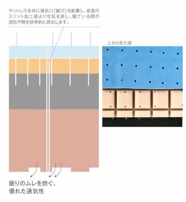 新発想の睡眠サポート！『雲のやすらぎプレミアム マットレスⅡ』がついに登場！