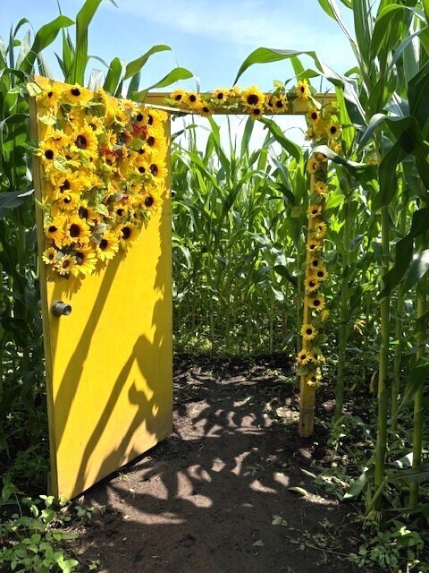 那須千本松牧場「夏フェス2025」初開催！～とうもろこし巨大迷路、マルシェラリー等地域とつながる、夏だけの特別体験～