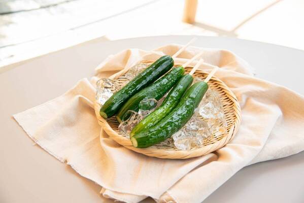 那須千本松牧場「夏フェス2025」初開催！～とうもろこし巨大迷路、マルシェラリー等地域とつながる、夏だけの特別体験～