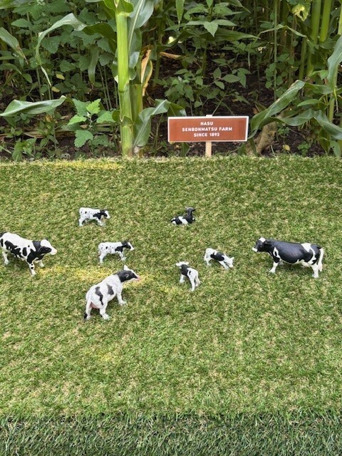 那須千本松牧場「夏フェス2025」初開催！～とうもろこし巨大迷路、マルシェラリー等地域とつながる、夏だけの特別体験～