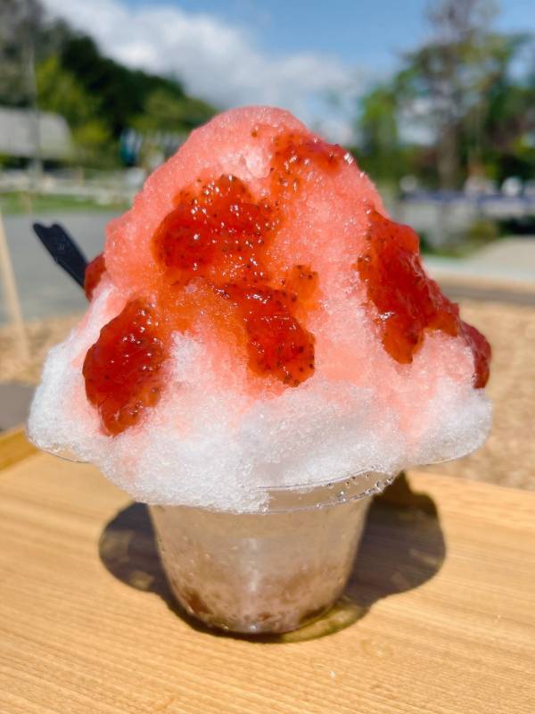 那須千本松牧場「夏フェス2025」初開催！～とうもろこし巨大迷路、マルシェラリー等地域とつながる、夏だけの特別体験～