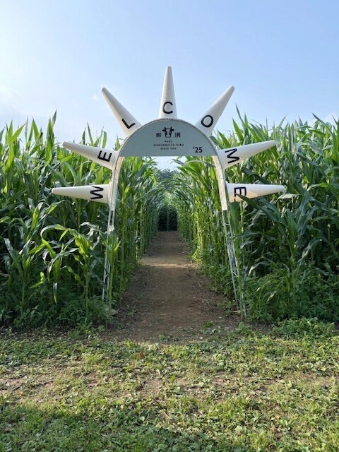 那須千本松牧場「夏フェス2025」初開催！～とうもろこし巨大迷路、マルシェラリー等地域とつながる、夏だけの特別体験～