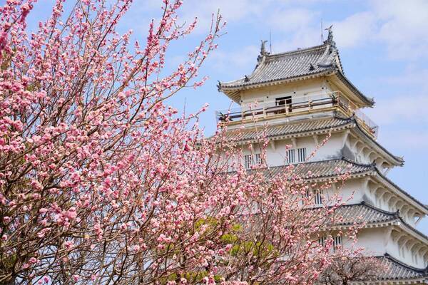 ひと足早い春の訪れを満喫！ 「冬〜早春の花だより」特集ページを公開