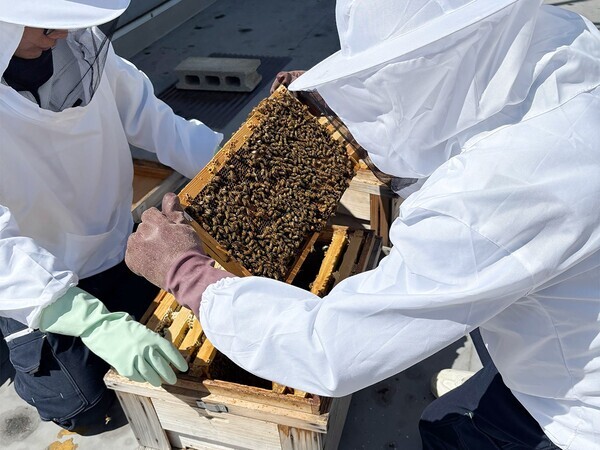 都会で養蜂体験大人のための特別教室を9月20日開催