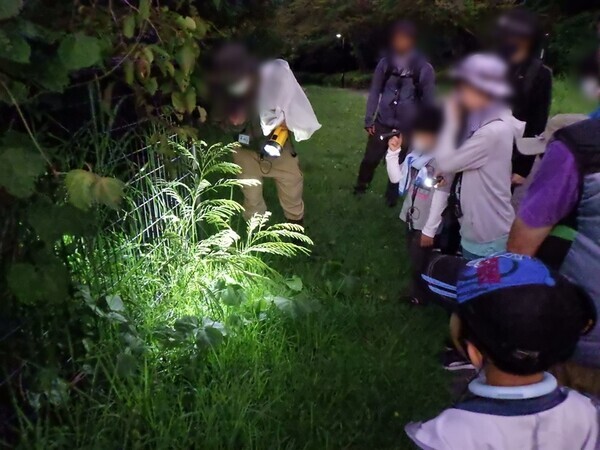 闇にうごめく昆虫を見つけよう！「夜の昆虫観察会　サマーナイトわくわく自然観察会」小山内裏公園で8月23日(土)開催