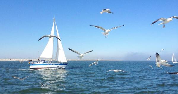 2024年12月、湘南・江ノ島の食材をふんだんに使ったごちそうレストラン「Sails」がオープン！