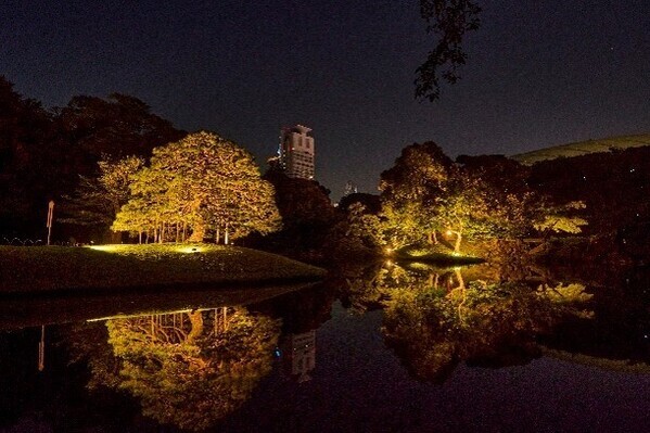 【夜間特別開園】秋の夜長の小石川後楽園2025