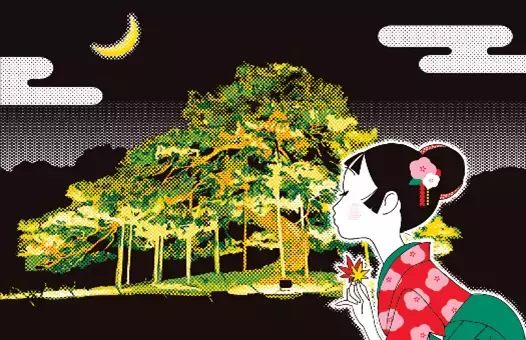 【夜間特別開園】秋の夜長の小石川後楽園2025