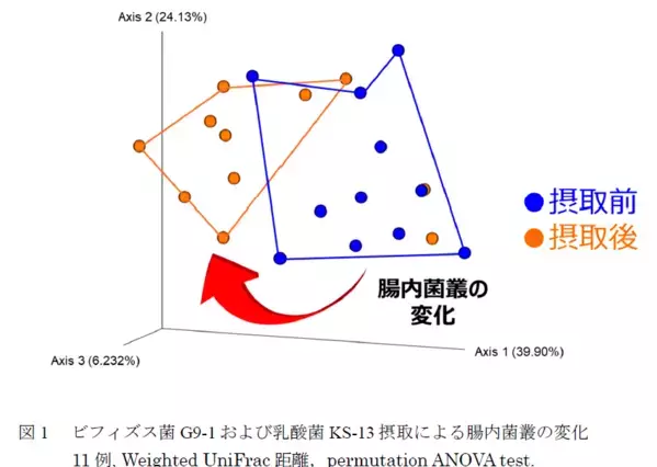 ビフィズス菌G9-1と乳酸菌KS-13が 犬の腸内環境を改善することを確認