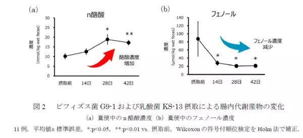ビフィズス菌G9-1と乳酸菌KS-13が 犬の腸内環境を改善することを確認