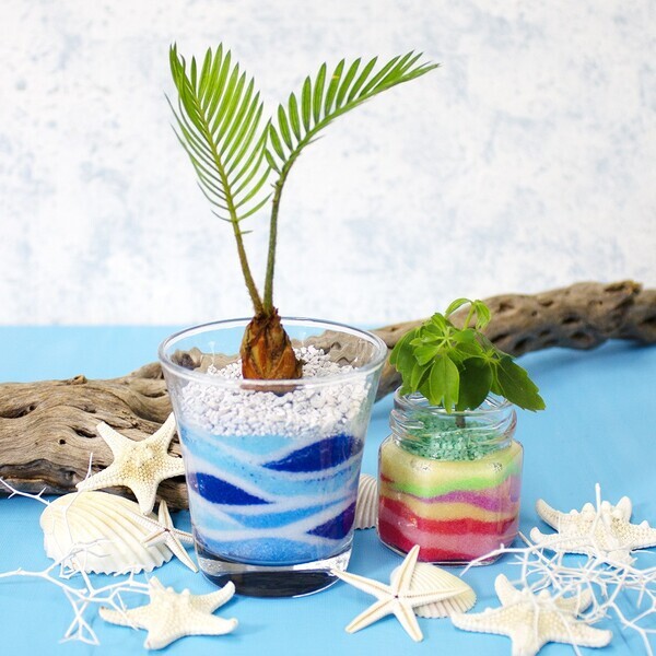 【コノカイオンモール京都桂川店限定】カラーサンドグリーン作り　コノカのサマーワークショップ