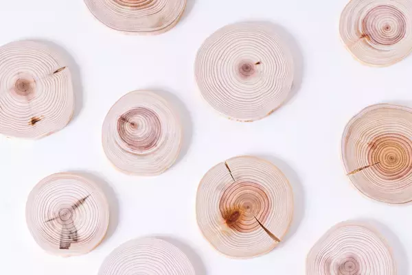 林業を知ろう！森を歩こう！山仕事のプロと自然散策＆木材を使ったクラフト体験イベントを3月2日（日）小峰公園で開催！