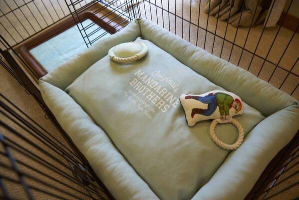 【ホテルあぶくま高原テラス】ドッグラン直結・温泉プール付きの「わんちゃん専用客室」が8月1日オープン