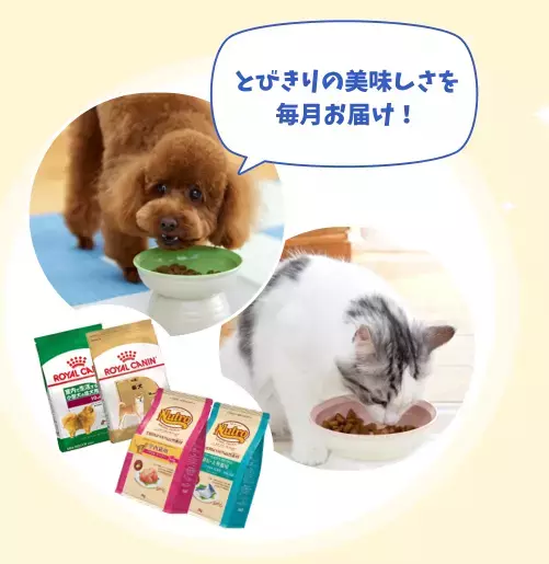 【年間150万冊発行】愛犬・愛猫がカタログの表紙を飾るチャンス！PEPPY史上最大、プロ撮影と人気フード1年分が当たる「表紙モデル募集キャンペーン」を8月21日より開始