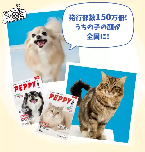 【年間150万冊発行】愛犬・愛猫がカタログの表紙を飾るチャンス！PEPPY史上最大、プロ撮影と人気フード1年分が当たる「表紙モデル募集キャンペーン」を8月21日より開始