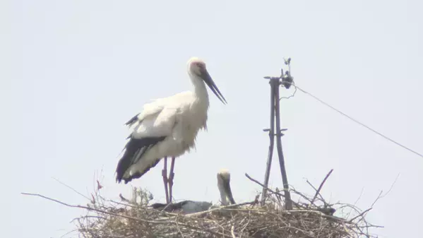 「地球派宣言WEEK 2025」がスタートします！