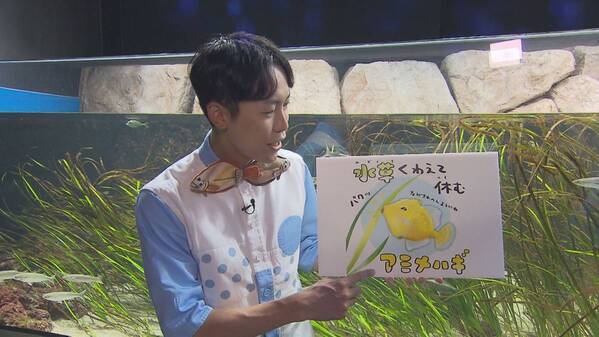 「地球派宣言WEEK 2025」がスタートします！