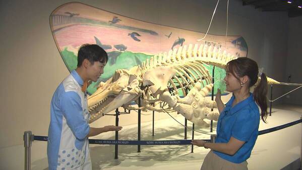 「地球派宣言WEEK 2025」がスタートします！