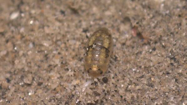 「地球派宣言WEEK 2025」がスタートします！