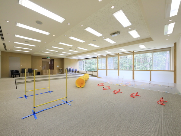 【開業5周年記念】蓼科の“愛犬と泊まれるホテル”が5大特典付プラン販売　お食事無料アップグレードや愛犬用おやつも｜2025年7月～