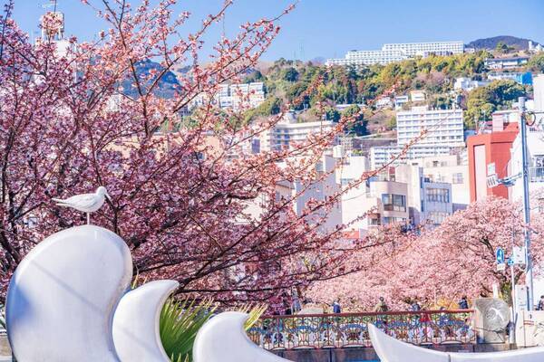 ひと足早い春の訪れを満喫！ 「冬〜早春の花だより」特集ページを公開