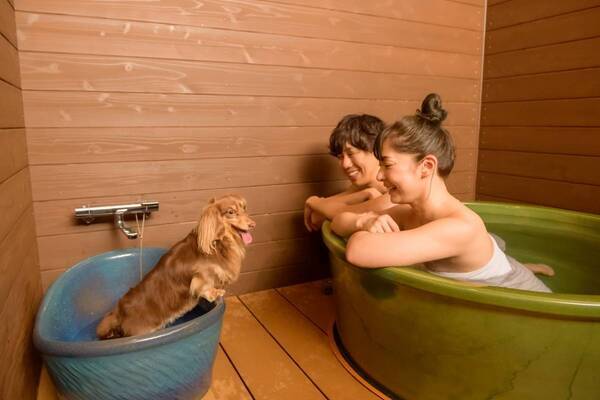 新規出店2施設、リブランド・リニューアル8施設！ 大江戸温泉物語グループの2025年 上半期まとめ