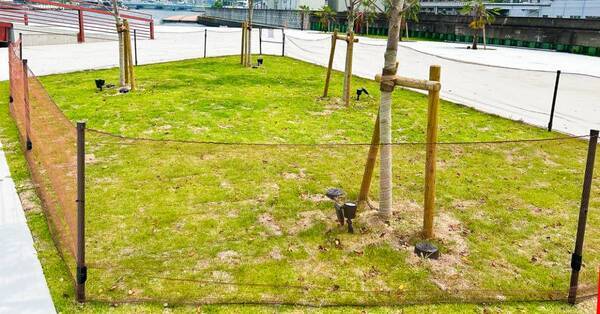 海と川をつなぐ大阪の水上ターミナル「中之島GATEサウスピア」に“水辺のドッグラン”が誕生！