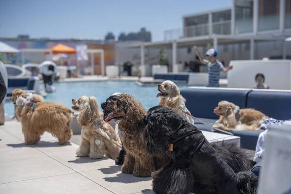 キラナガーデン豊洲『キラナわんわんデー』2周年記念 わんわん感謝祭を2月9日（日）開催