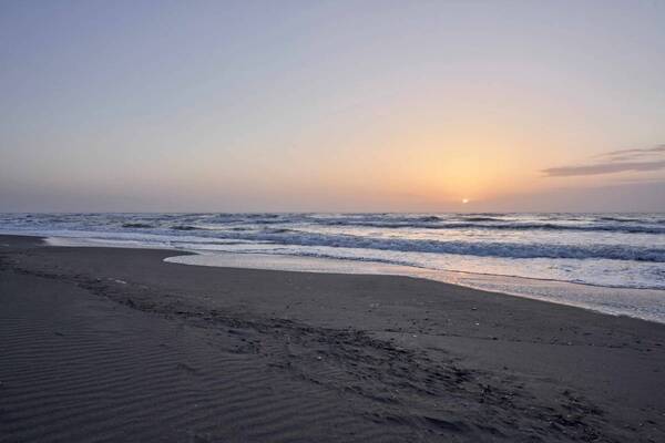 九十九里でガレージハウス体験ができる「POPFIRE TOWN」が全棟貸サービスを開始！