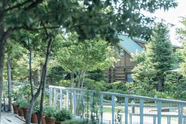 春風とともに楽しむ新しいブランチ体験「ガーデンピクニックブランチ」、大阪ベイエリアのホテル・ロッジ舞洲が3月1日より宿泊プランとして提供開始