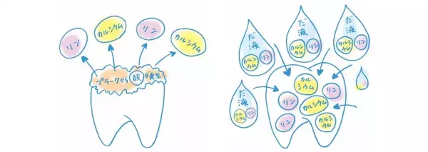 虫歯に「なる」、「ならない」を決める3つのルール！　あなたの「唾液」は大丈夫？【カラダジム】