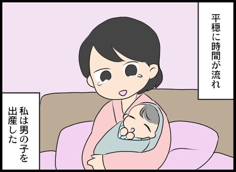 敵は身勝手夫ただ一人！捨てられた嫁と姑「禁断のタッグ」壮大な復讐劇…読者「養子縁組は筋違い」