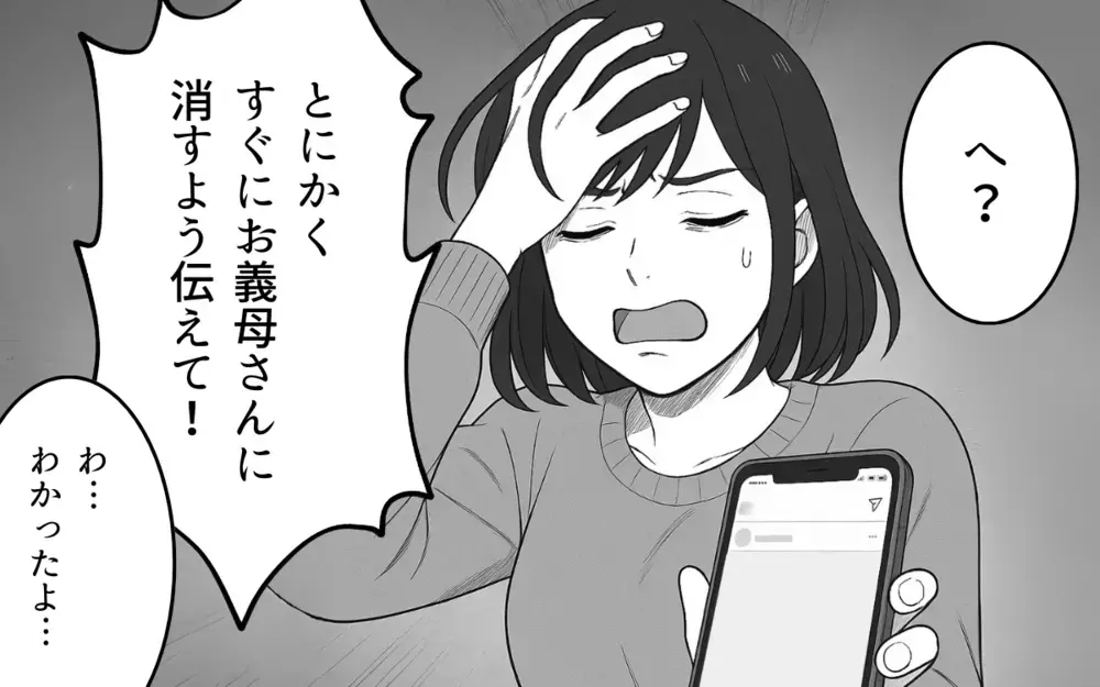 孫の写真を勝手にSNSに!?「うちの子かわいいんだもの」浮かれた義母に妻は…【良かれの押し付け義母 Vol.3】