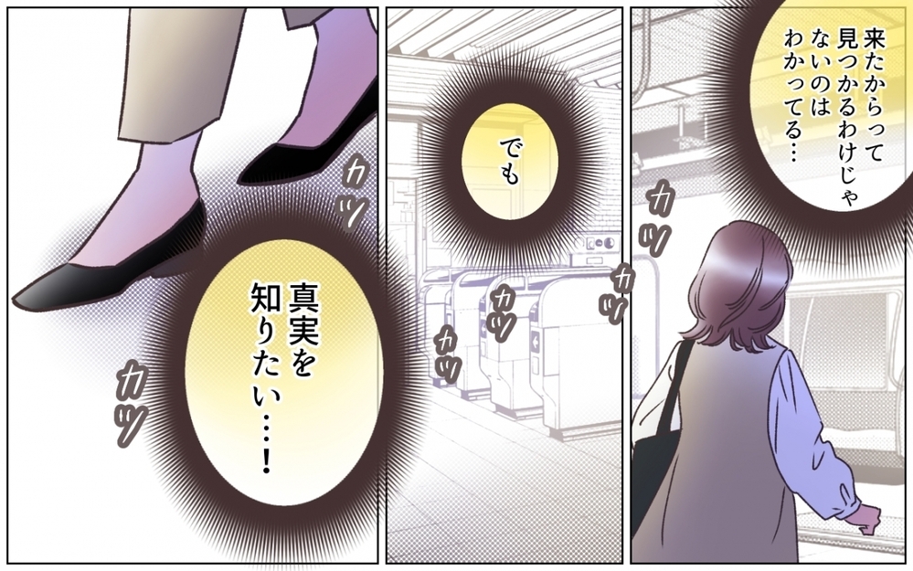 出張は嘘⁉ 夫を尾行して突き止めた驚きの行き先とは…＜夫の秘密を知る女 5話＞【夫婦の危機 まんが】