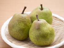 なめらかな食感と、うっとりするような香りが上品な洋梨。贈答品やスイーツの素材としても人気が高く、秋の味覚として親しまれています。旬の今こそ、その魅力を知っておきたいところです。そこで今回は、洋梨の歴史やラ・フランスとの違い、食べ頃の見極め方まで、豆知識をたっぷりご紹介します。