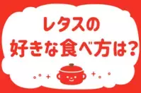 レタスの好きな食べ方は？＜回答数 39,149票＞【教えて！ みんなの衣食住「みんなの暮らし調査隊」結果発表 第298回】