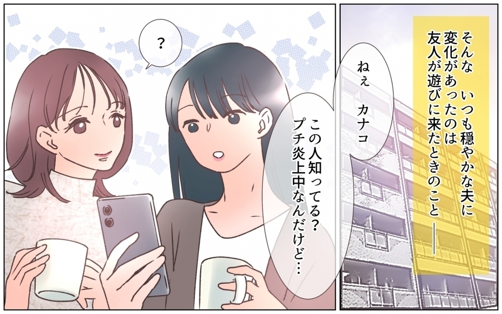 美容インフルエンサーに執着する「完璧な夫」の異常な本性に読者も戦慄！「まさか夫が中の人…？」