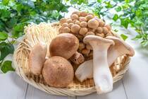 「みんなの暮らし調査隊」、お答えいただき大変ありがとうございました！今回は秋の味覚「キノコ」について質問しました！