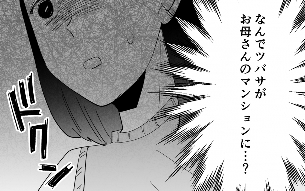 「彼氏と過ごす」と聞いた母の誕生日…母のマンションに入っていったのは＜夫を奪ったのは母でした 9話＞【彼女たちの真実 まんが】
