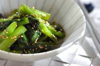 10分以内で作れる【小松菜の中華おかず】子どもが喜ぶナムルや炒め物など5選！忙しい日に最適