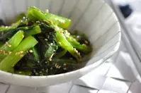 10分以内で作れる【小松菜の中華おかず】子どもが喜ぶナムルや炒め物など5選！忙しい日に最適