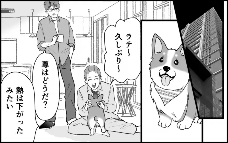 「気が済んだか？」実家に帰った妻を見下す夫…その裏で夫家族が深刻な事態に！＜夫家族の異常な絆 11話＞【まんが】