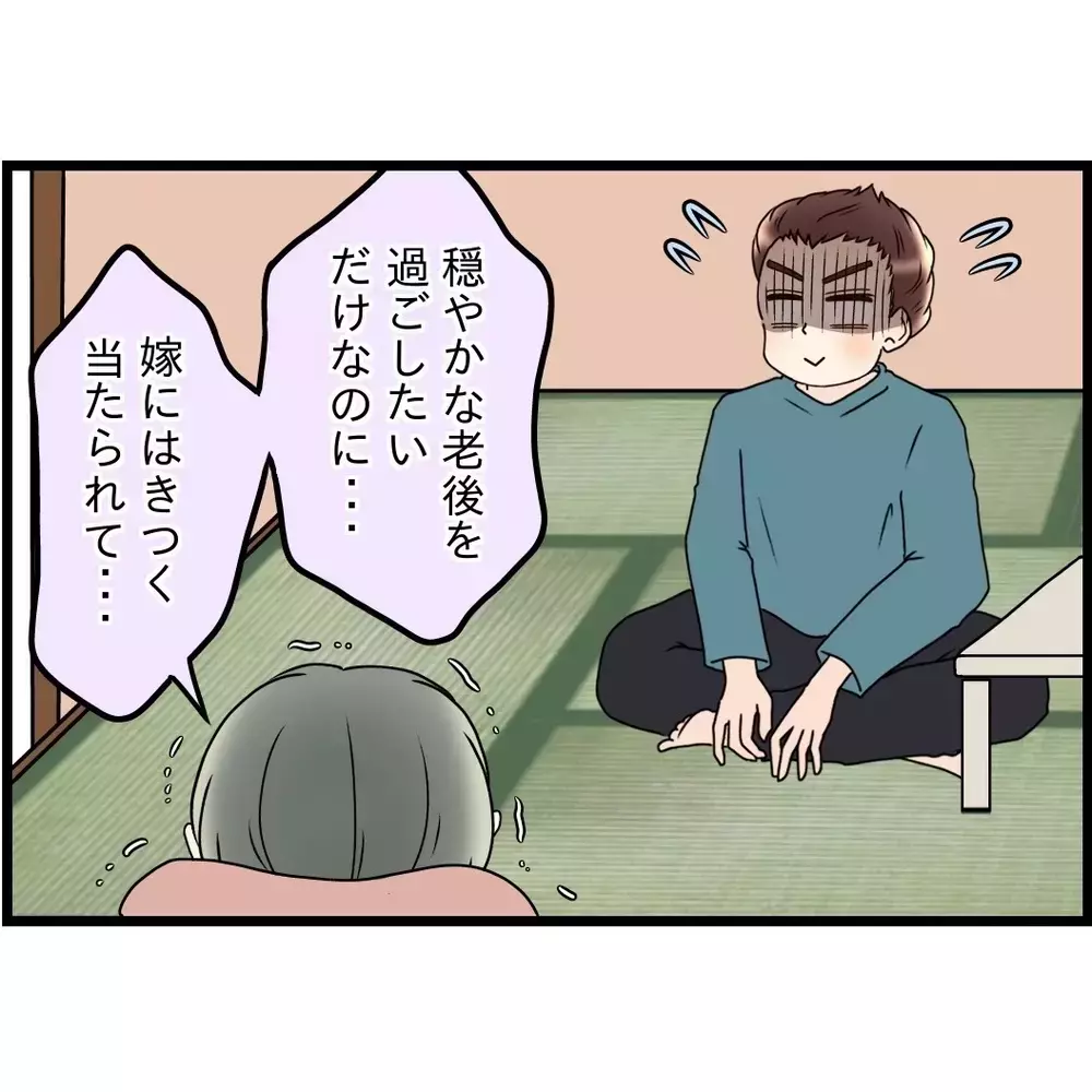 「夢見すぎだよ…」さすがの息子も付き合いきれない？【嫁姑問題に巻き込まれています Vol.51】