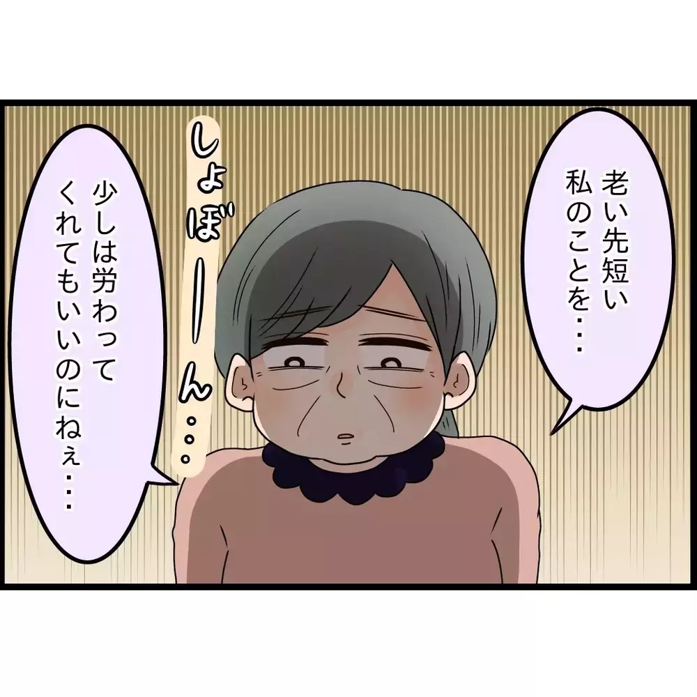 「夢見すぎだよ…」さすがの息子も付き合いきれない？【嫁姑問題に巻き込まれています Vol.51】