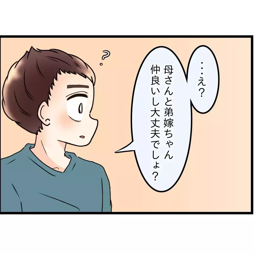 弟嫁と母はうまくやってる！都合よく解釈していただけ…夫の思い込みが外れる【嫁姑問題に巻き込まれています Vol.109】