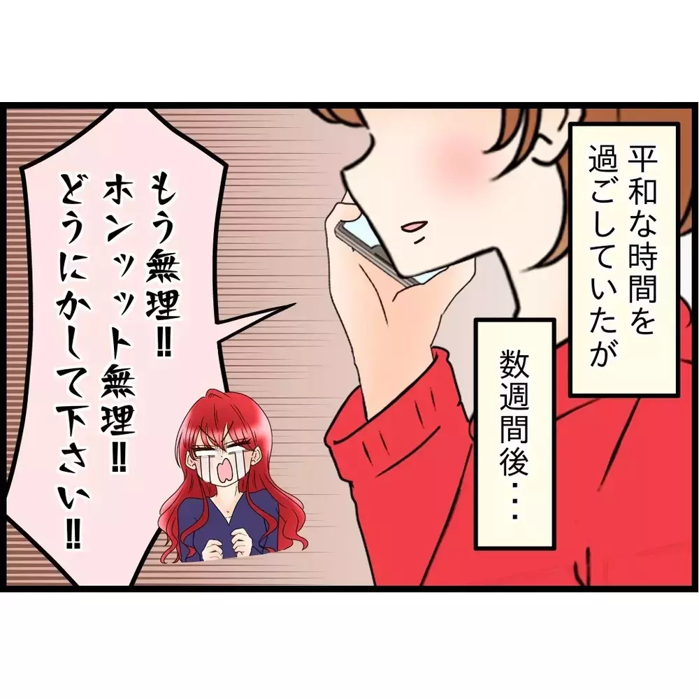 弟嫁から突然の電話…愚痴が止まらない！あの家で何が起きているのか…【嫁姑問題に巻き込まれています Vol.110】