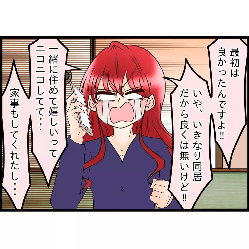 弟嫁から突然の電話…愚痴が止まらない！あの家で何が起きているのか…【嫁姑問題に巻き込まれています Vol.110】